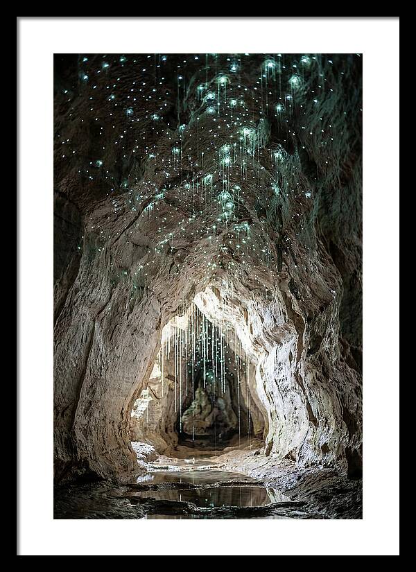 Mystical Glowworm Caverns