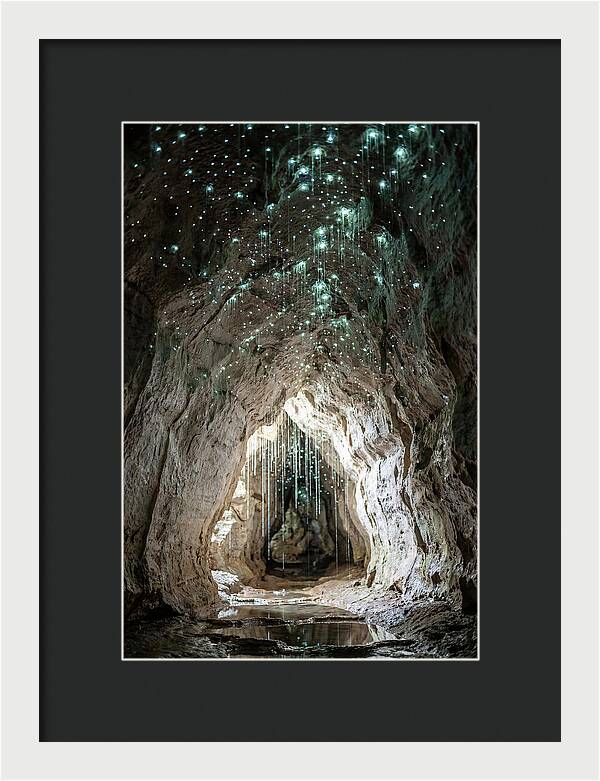 Mystical Glowworm Caverns