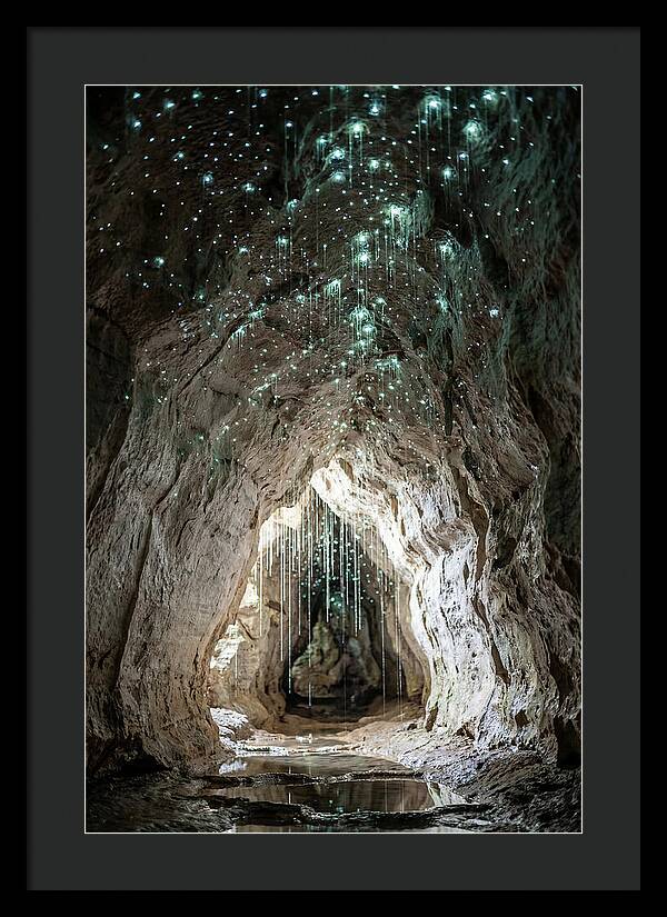 Mystical Glowworm Caverns
