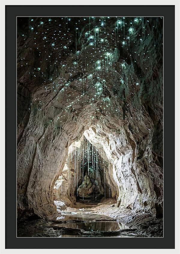 Mystical Glowworm Caverns