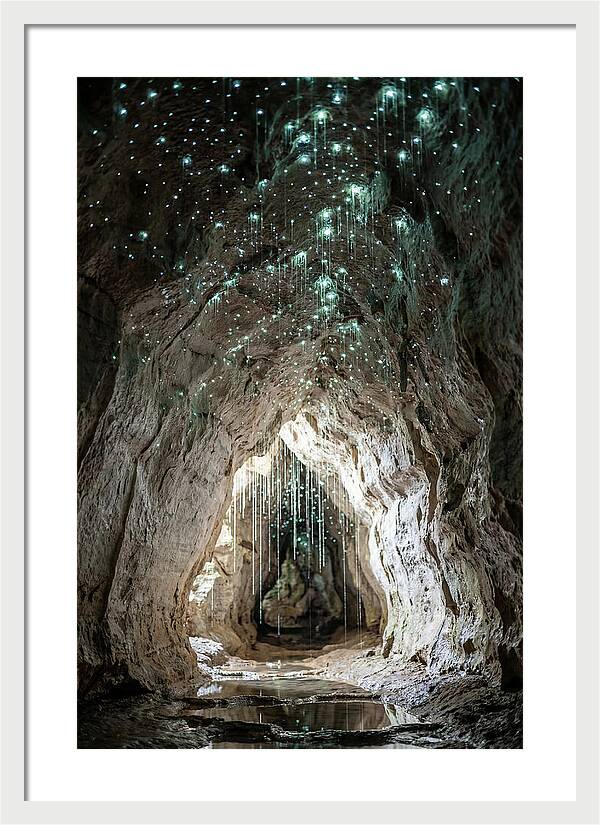 Mystical Glowworm Caverns