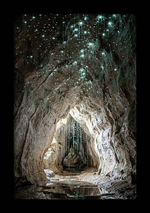 Mystical Glowworm Caverns
