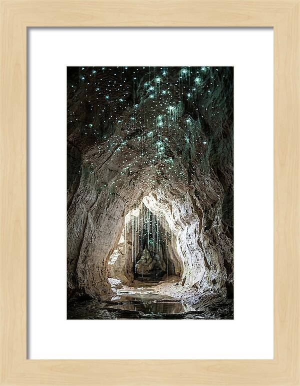 Mystical Glowworm Caverns