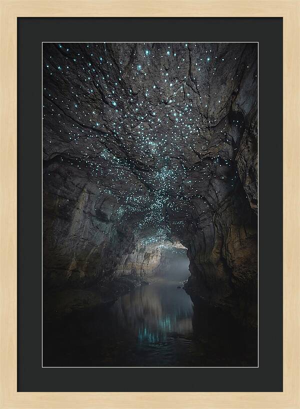 Mystical Glowworm Caves