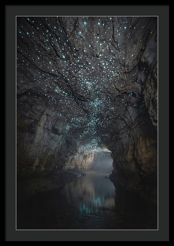 Mystical Glowworm Caves