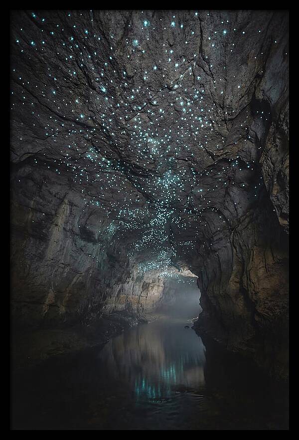 Mystical Glowworm Caves
