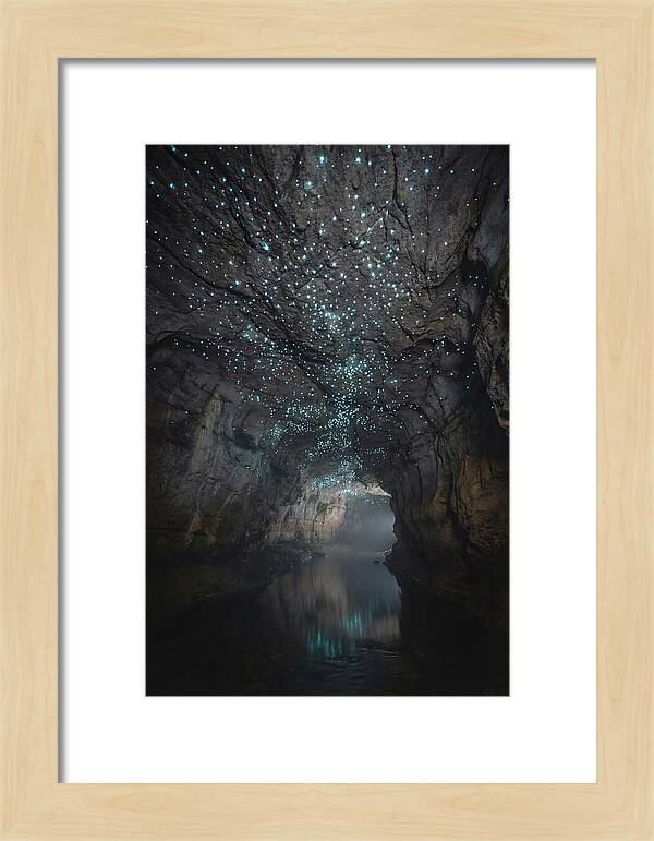 Mystical Glowworm Caves