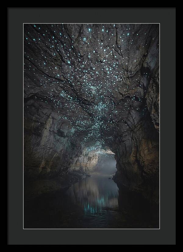Mystical Glowworm Caves