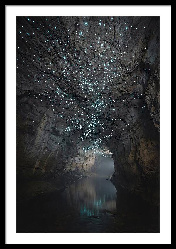 Mystical Glowworm Caves