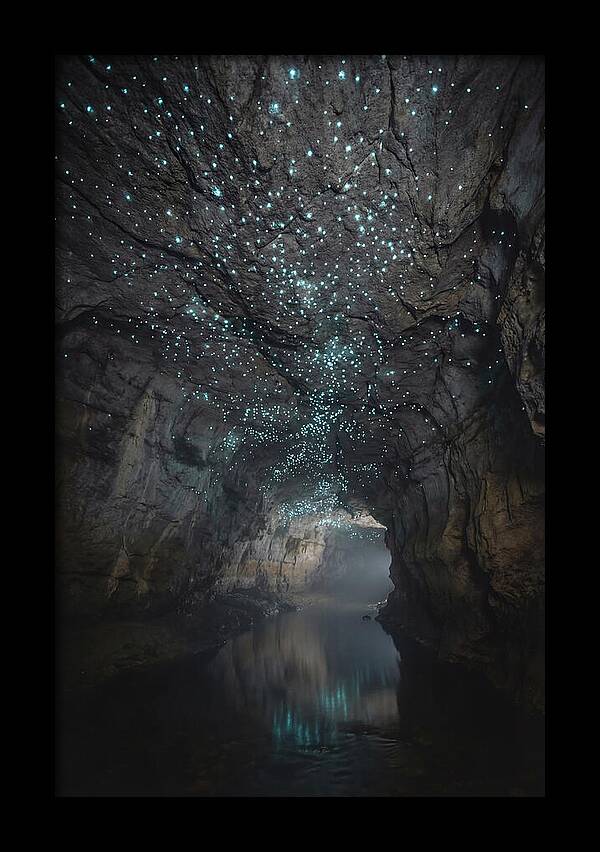 Mystical Glowworm Caves