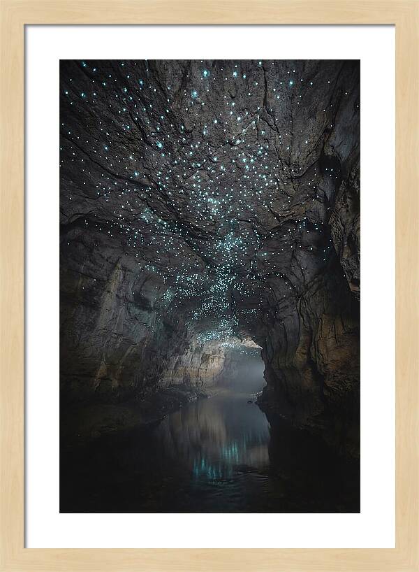 Mystical Glowworm Caves