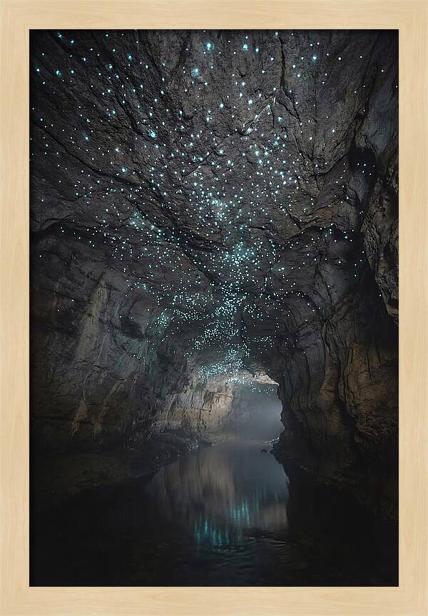 Mystical Glowworm Caves