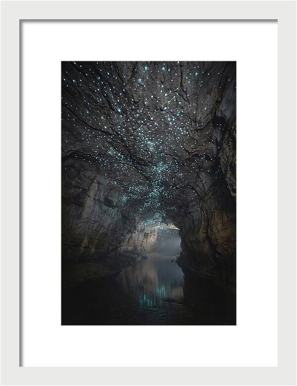 Mystical Glowworm Caves