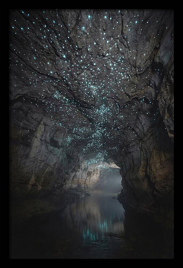 Mystical Glowworm Caves