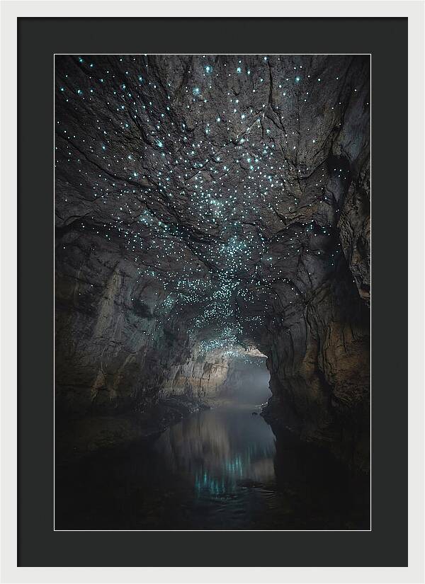 Mystical Glowworm Caves