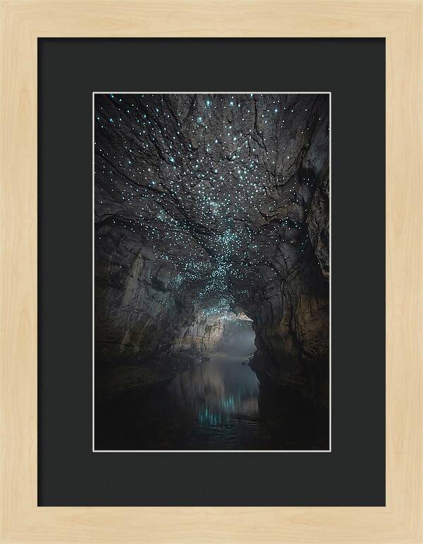 Mystical Glowworm Caves