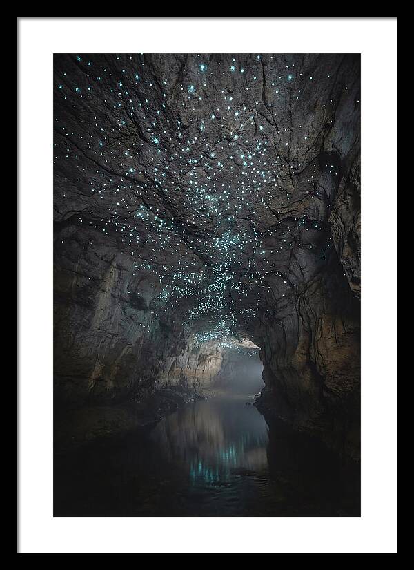 Mystical Glowworm Caves