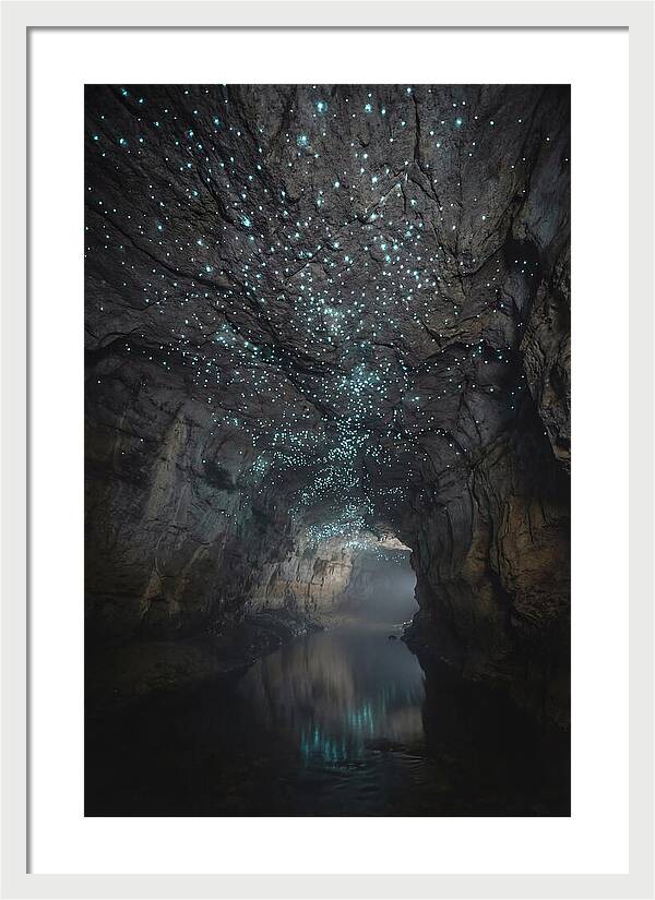 Mystical Glowworm Caves