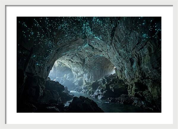 Mystical Glowworms Of Waitomo