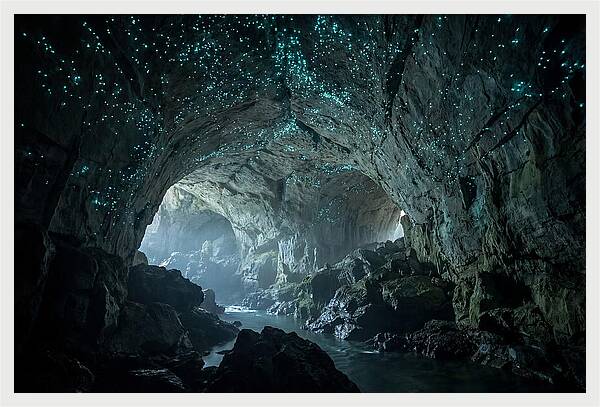 Mystical Glowworms Of Waitomo