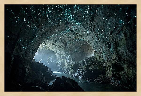 Mystical Glowworms Of Waitomo