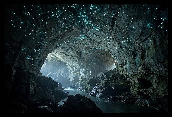Mystical Glowworms Of Waitomo