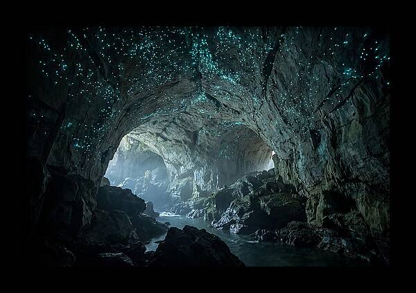 Mystical Glowworms Of Waitomo