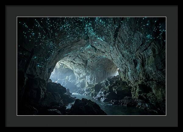 Mystical Glowworms Of Waitomo