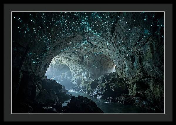 Mystical Glowworms Of Waitomo
