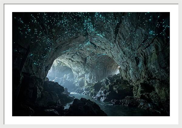 Mystical Glowworms Of Waitomo