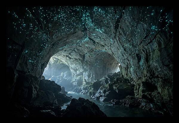Mystical Glowworms Of Waitomo
