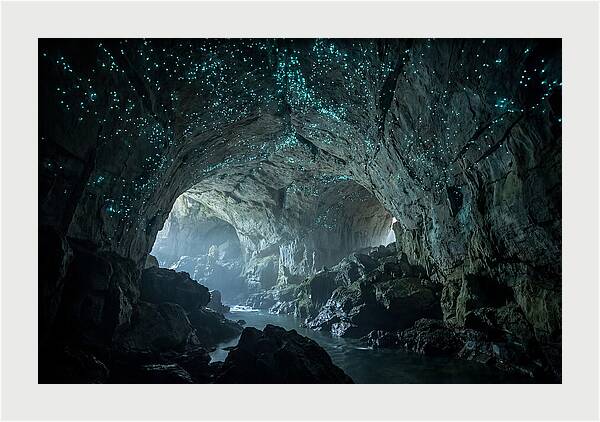 Mystical Glowworms Of Waitomo