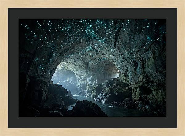 Mystical Glowworms Of Waitomo