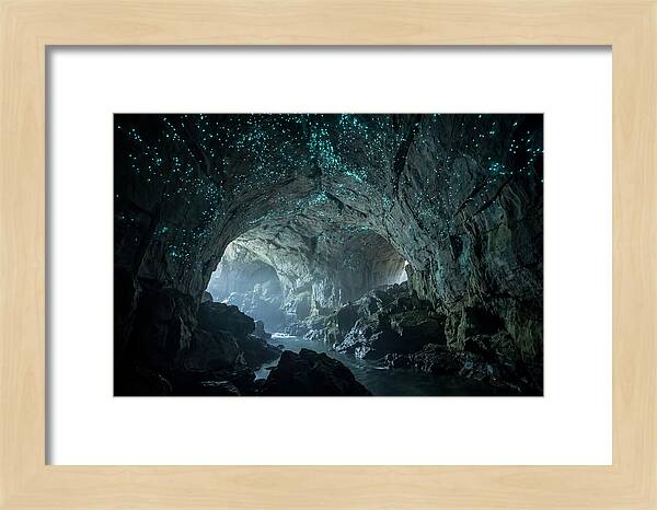 Mystical Glowworms Of Waitomo