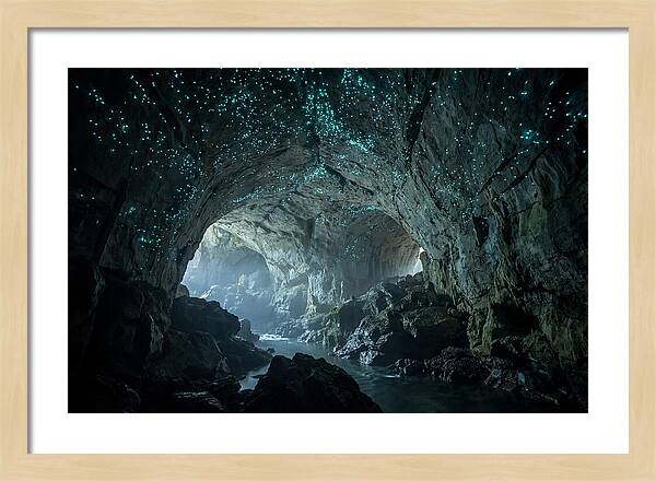 Mystical Glowworms Of Waitomo