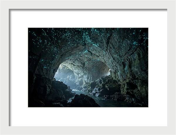 Mystical Glowworms Of Waitomo