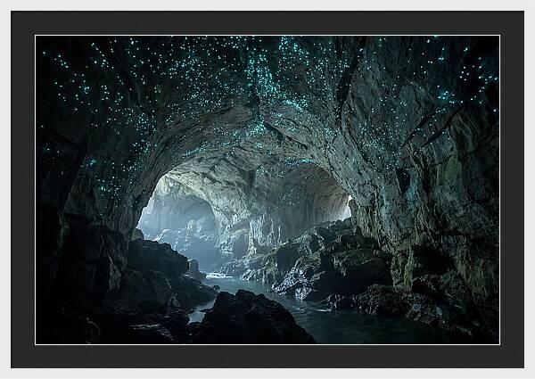 Mystical Glowworms Of Waitomo