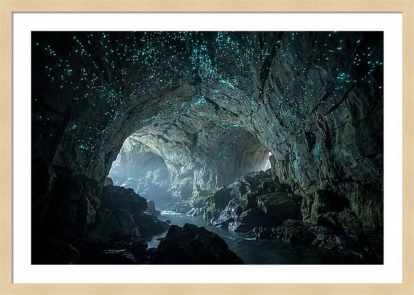 Mystical Glowworms Of Waitomo