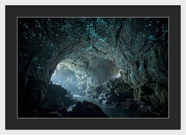 Mystical Glowworms Of Waitomo