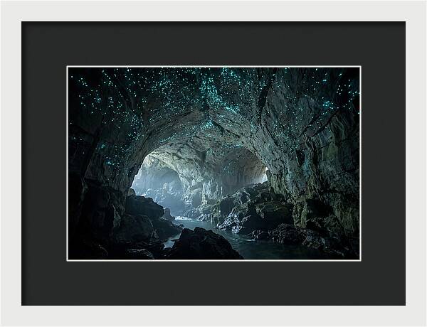 Mystical Glowworms Of Waitomo
