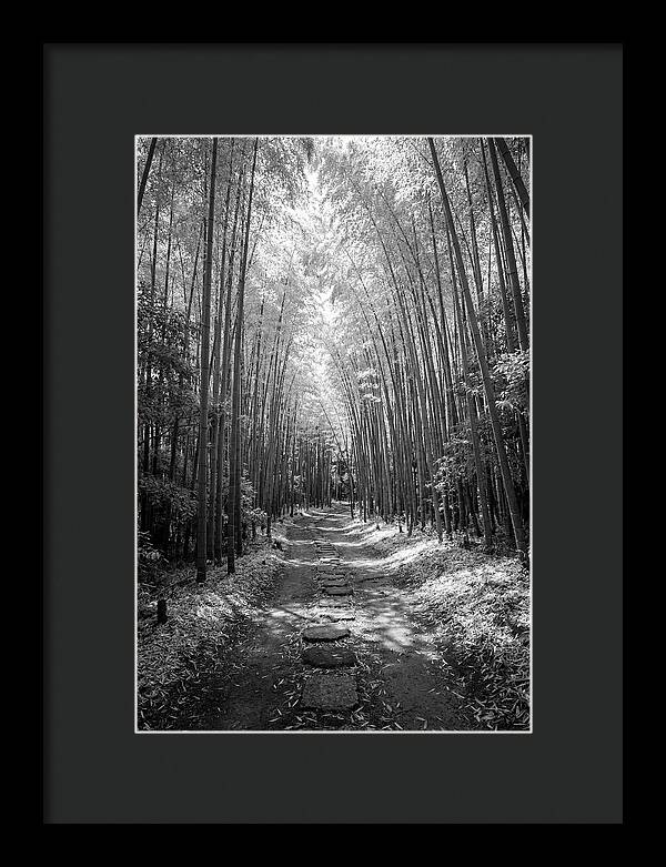 Mystical Path Through Arashiyama Bamboo