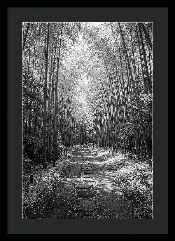 Mystical Path Through Arashiyama Bamboo