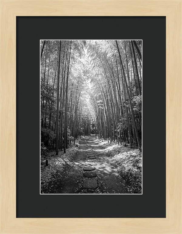 Mystical Path Through Arashiyama Bamboo