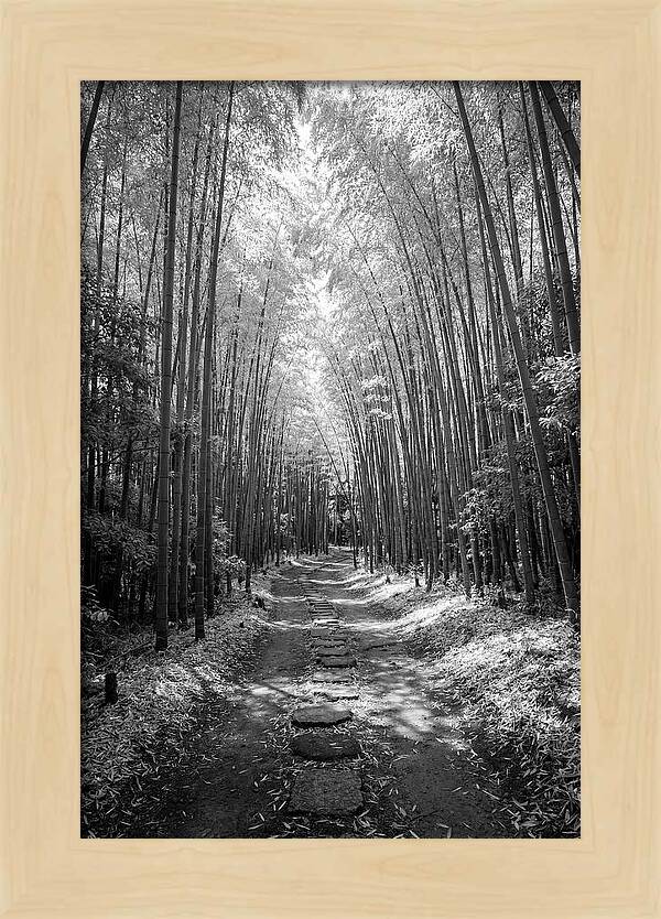 Mystical Path Through Arashiyama Bamboo