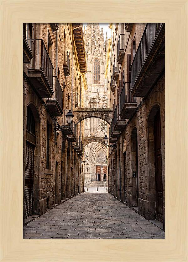 Mystical Streets Of Barcelona