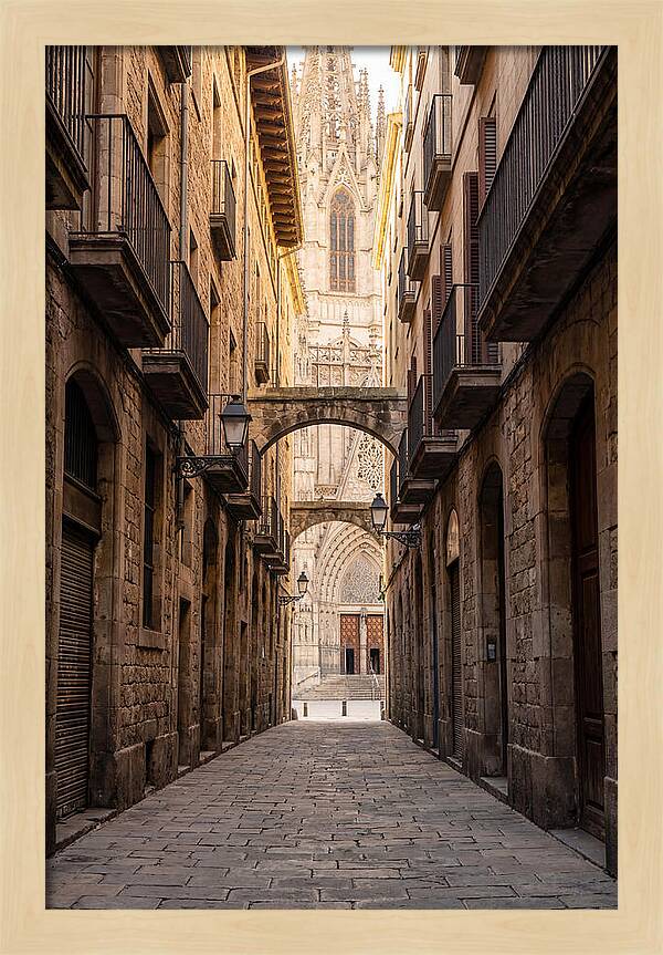 Mystical Streets Of Barcelona
