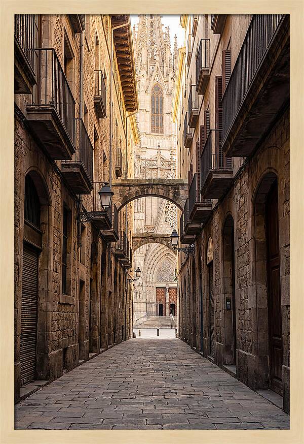 Mystical Streets Of Barcelona