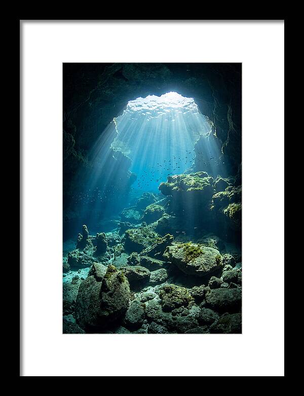 Mystical Underwater Illumination