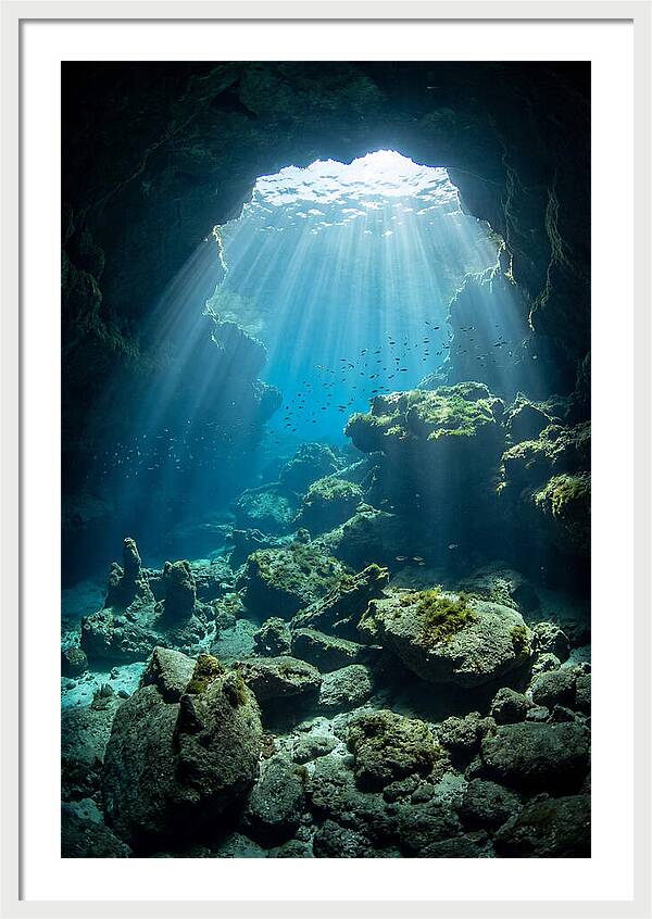 Mystical Underwater Illumination