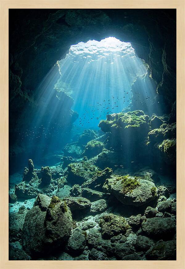 Mystical Underwater Illumination